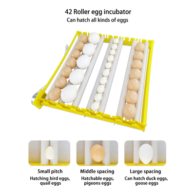 AC220v ABS 42 Poultry Egg Incubator Automatic Turning For Farms Home
