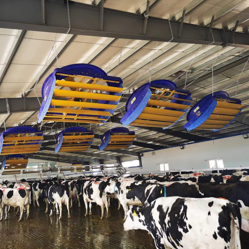 72 Inch Ventilation Cooling Fan For Cow / Cattle Calf Calve House / Dairy Farm / Shed