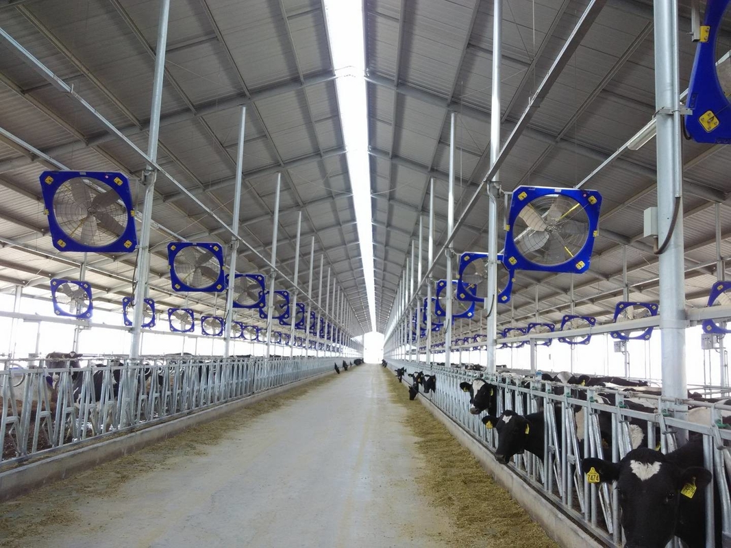 Terrui Poultry House Livestock Circulation Fans 1.2m With APP Control