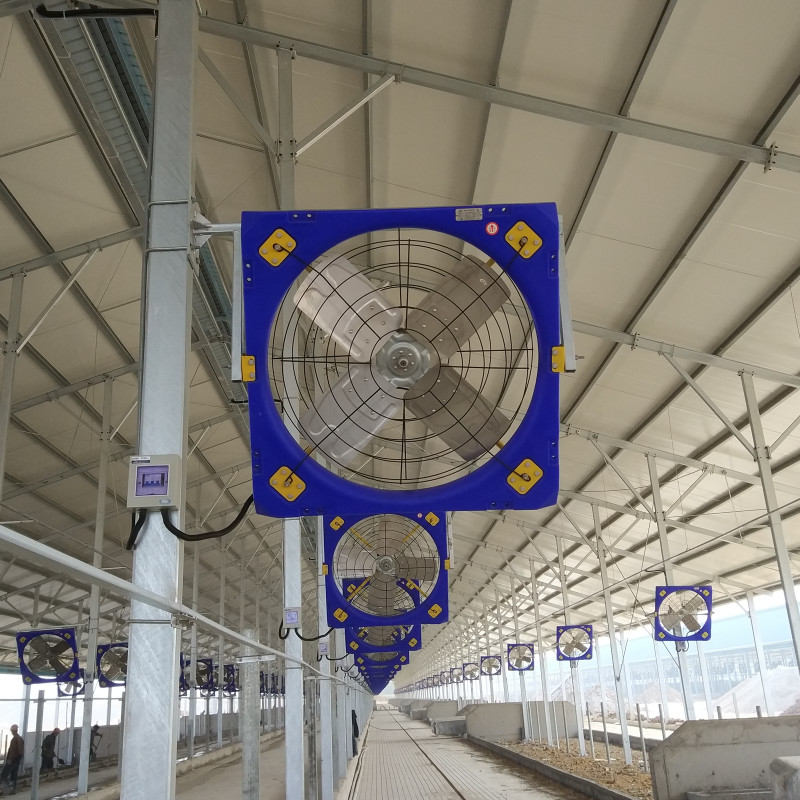 Modern Industrial Fan 5m/s Wind Speed at 6 Meters Distance for Superior Airflow