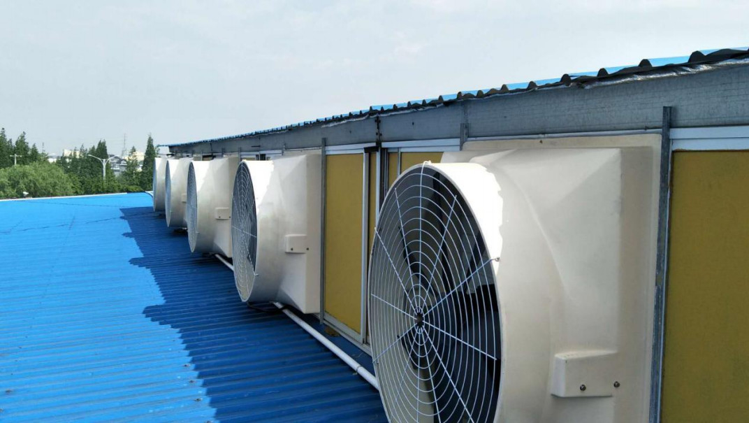 Modern Style Industrial Exhaust Fans For Poultry Cooling 6.2m/s Wind Speed