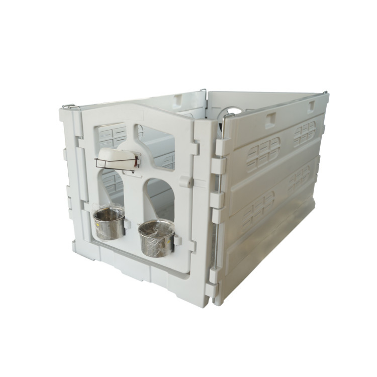 The Essential Calf Pen: Providing A Comfortable And Secure Environment For Calves