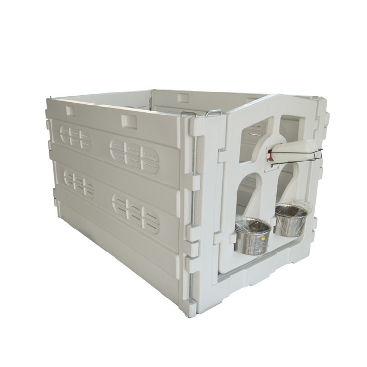 The Essential Calf Pen: Providing A Comfortable And Secure Environment For Calves