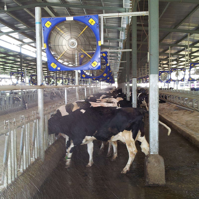 High Strength Double Layer PE Livestock Circulation Fan 38 Blade Diameter 28273m3/h Airflow 410w Input Power