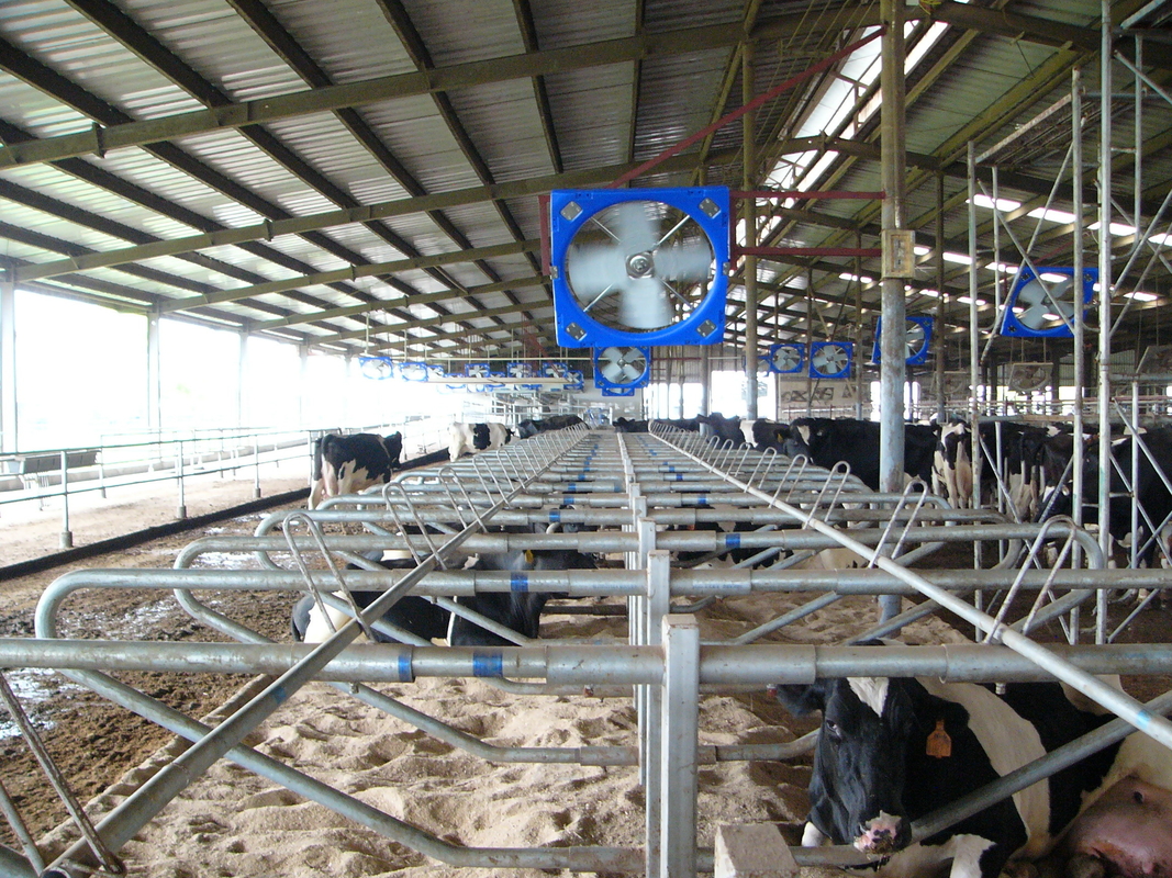 Strength Double layer PE Livestock Circulation Fan with 410w Input Power and 38 Blade Diameter