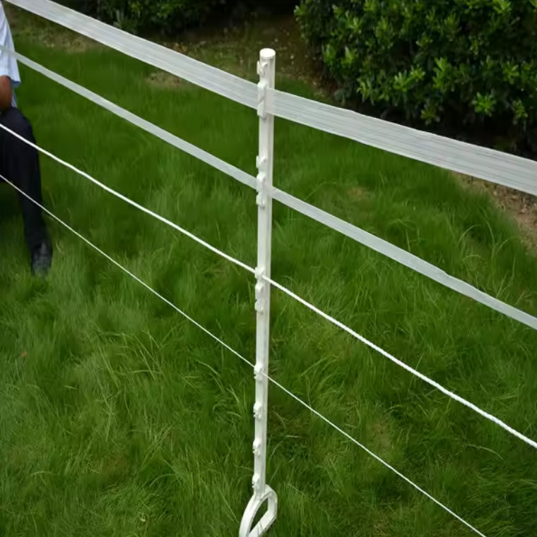 Plastic Electric Fence Posts Featuring Waterproof Property And 20pcs Per Carton Packing And Uncoated Frame