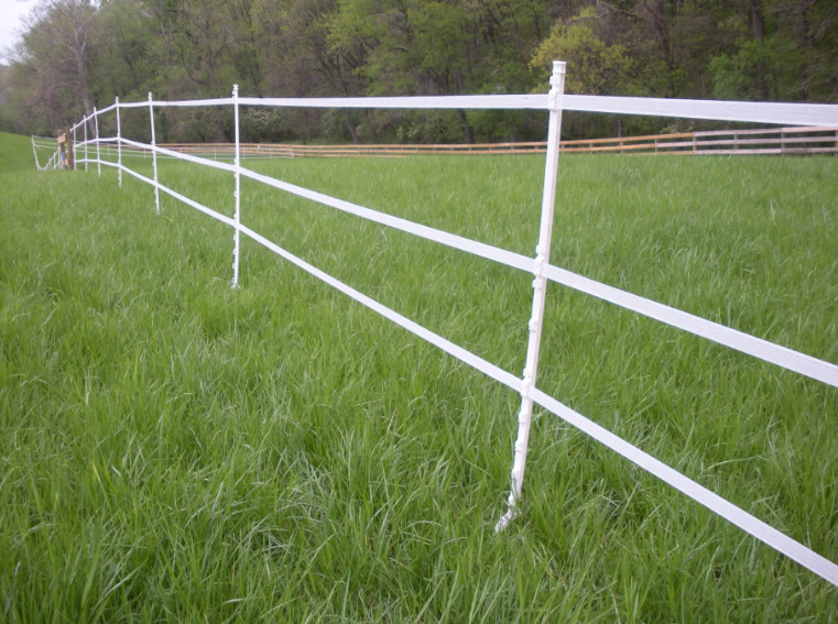 Plastic Electric Fence Posts Featuring Waterproof Property And 20pcs Per Carton Packing And Uncoated Frame