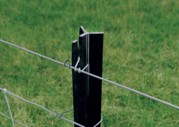 Heavy Duty Y-Post for Ranch with Customizable Color Black Galvanized Surface and Y Shape without Teeth