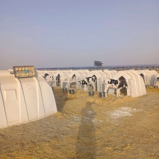 Ventilated Calf Hutch for Ensuring Optimal Airflow and Comfort for Young Calves