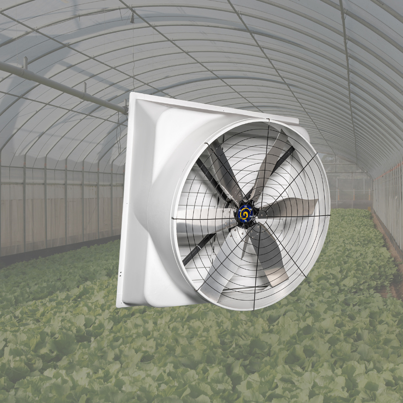 Powerful Poultry Fan 1150w Input Power Air Speed Screw To The Frame On The Wall