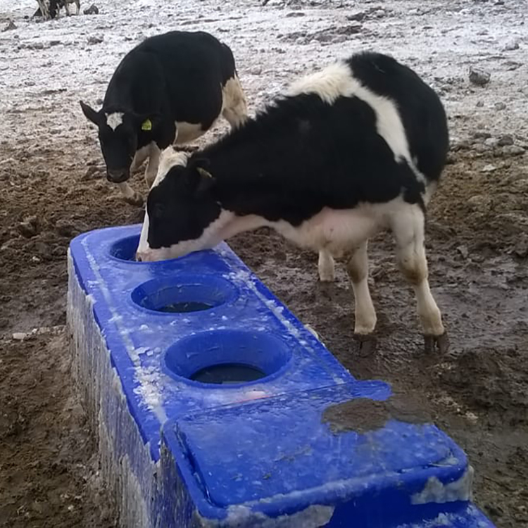 400*67*68cm/13.1*2.2*2.2 Heavy-duty Impact Resistant Polyethylene Livestock Water Tank in Blue for Standards