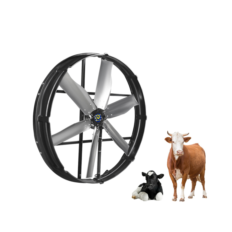 Power 2000W Industrial Exhaust Fan IP55 Protection Level 60mm Pipe Installation 345r/min Rotation Speed