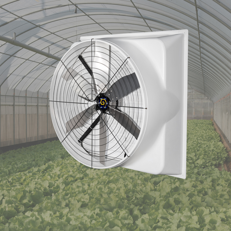 High-Volume 55-Inch Exhaust Fan Large industrial fan with Alloy Blade Ventilation Fan for Precision Poultry & Farm Climate Management