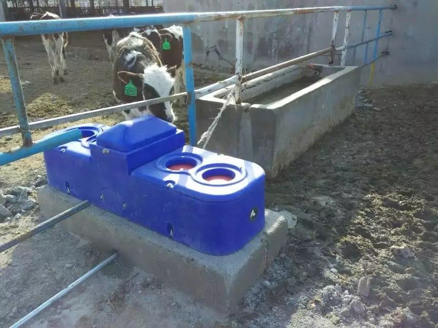 Plastic Thermo Four Hole Drinking Trough 1.5m For Sheep
