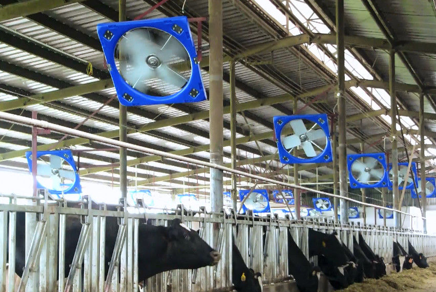 32kg 114*58cm Livestock Ventilation Fans For Circulation