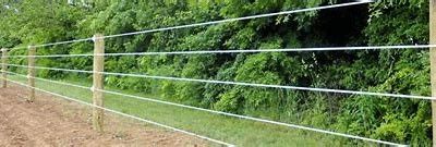 WRT065F SS Solid Electric Fence Wire For Cattles