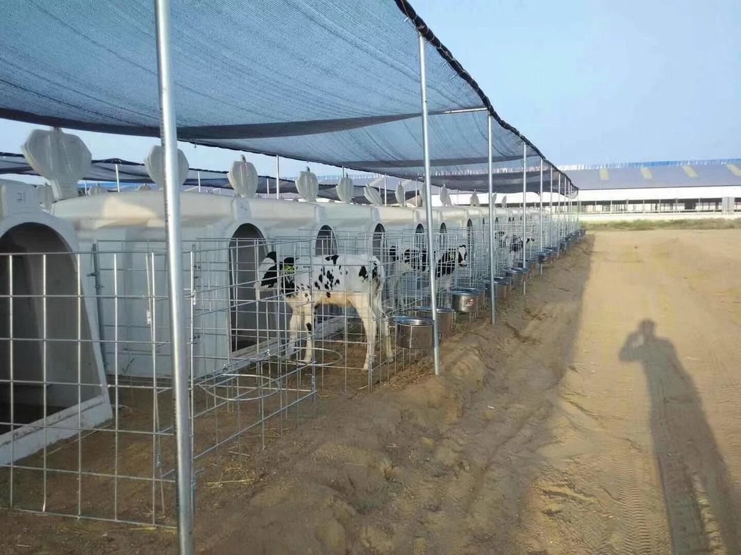 2.3*1.5m Dairy Calf Hutches For Cattle House