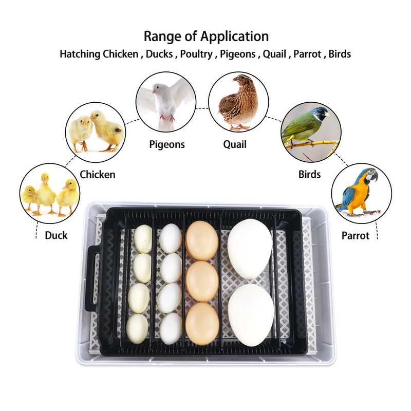 15 Poultry Egg Incubator 40W PE Egg Hatcher Incubators