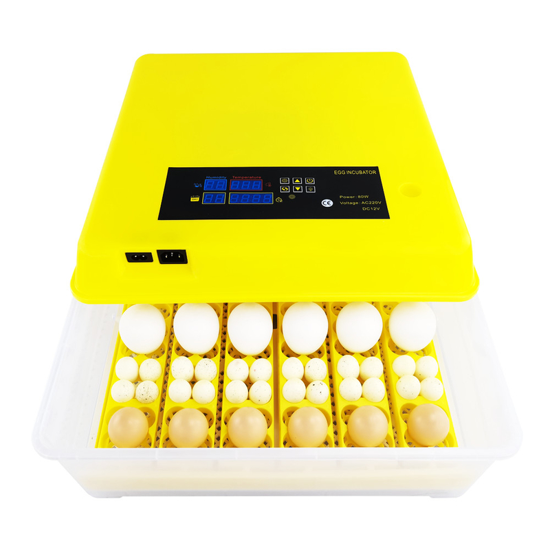 PLC Poultry Hatching 36 Egg Incubation Machine With 18 Tubes