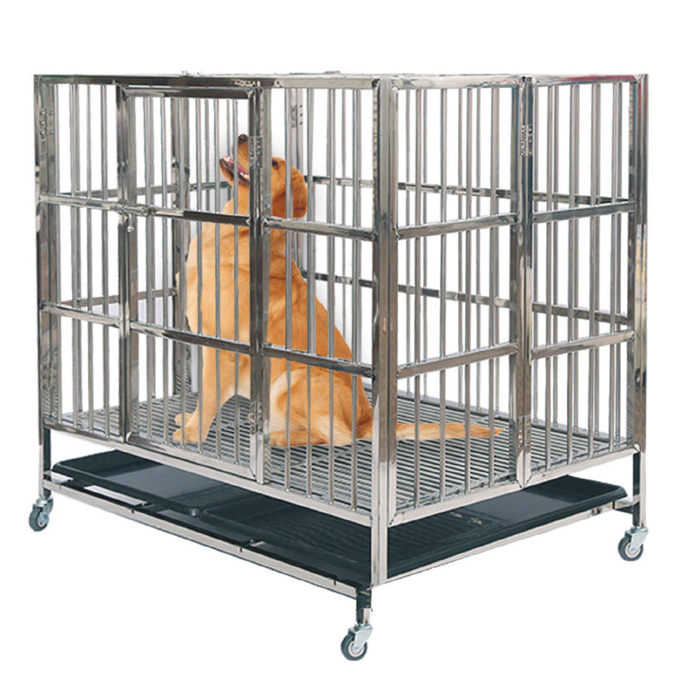 Stainless Pet Dog Cage Fashionable Pet Display Cage With Escape Lock