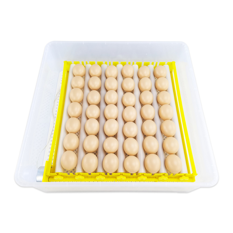 AC220v 7 Tubes 42 Hen Egg Incubator Uniform Heating For Farms