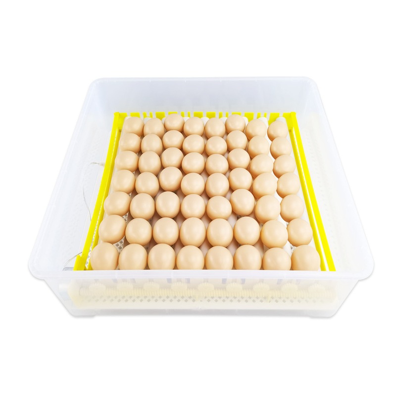 Multifunctional 56 Ostrich Eggs Incubator Brooding Ostrich Egg Hatching Machine