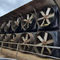PSMS Motor Livestock Ventilation Fans Dairy EC PMSM Wind Exhaust Fan