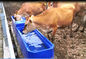 Freeze Proof plastic L13ft 260L Livestock Water Tank