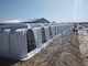 Terrui 2.3*1.5m Dairy Calf Hutches For Cattle House