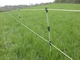 Gardening UV Stabilized Oval Fiberglass Fence Posts Easily Assembled