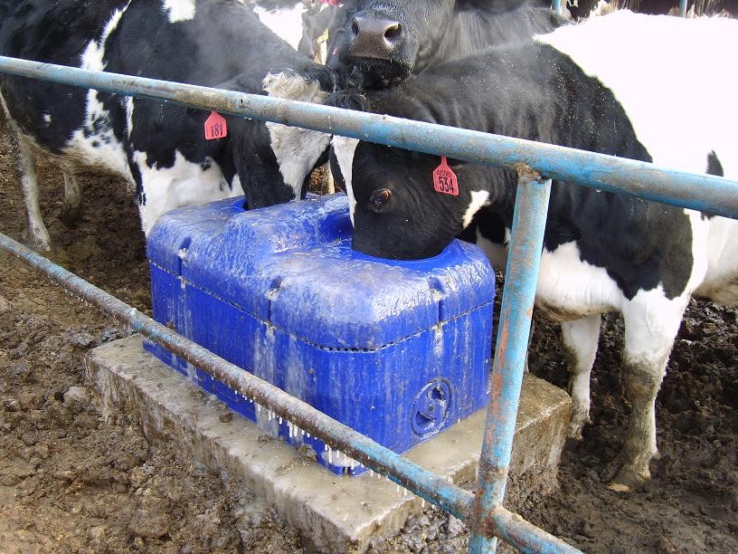 LLDPE Livestock Water Trough