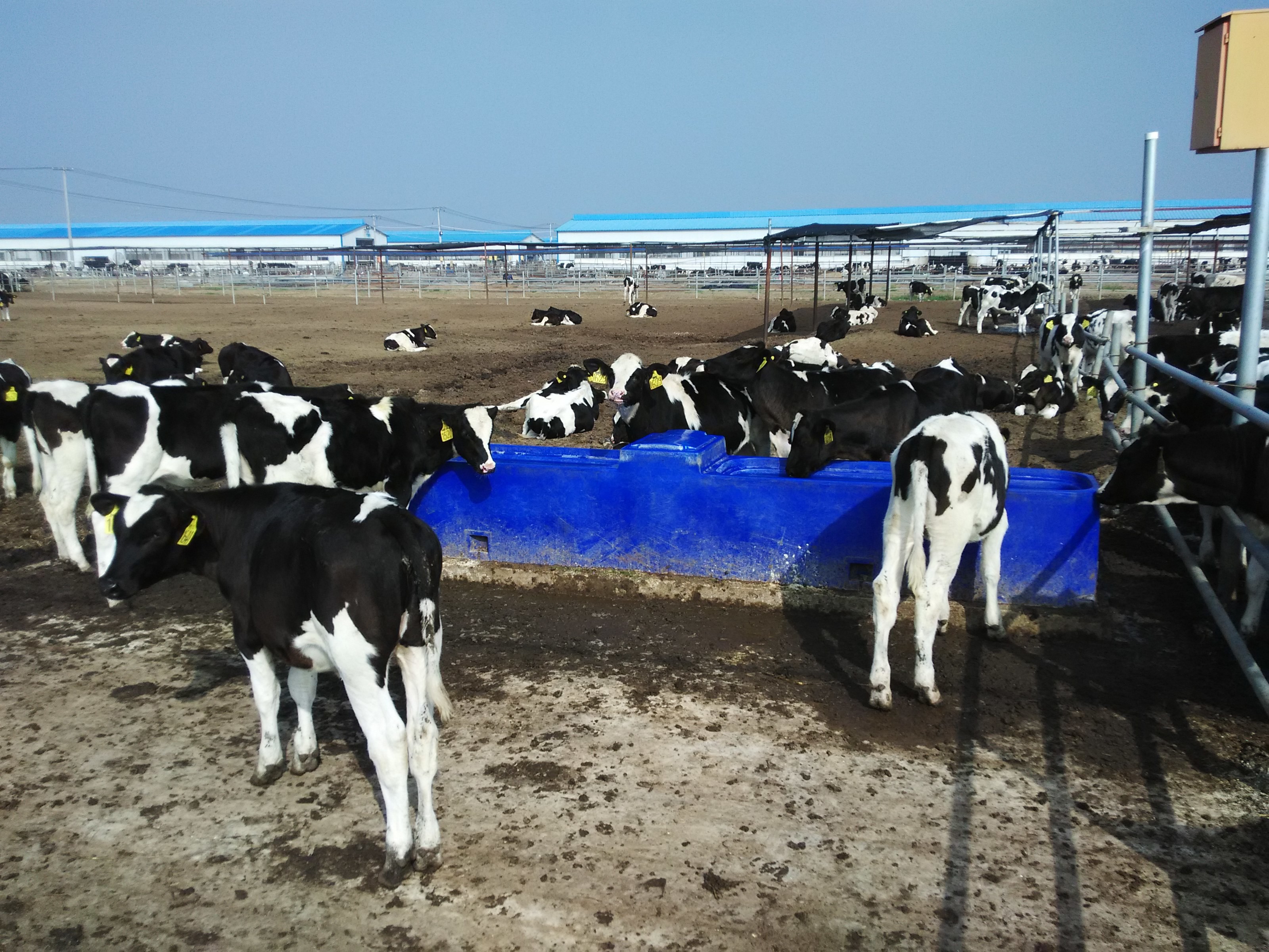 ISO9001 LLDPE L4000mm 220L Livestock Water Tank