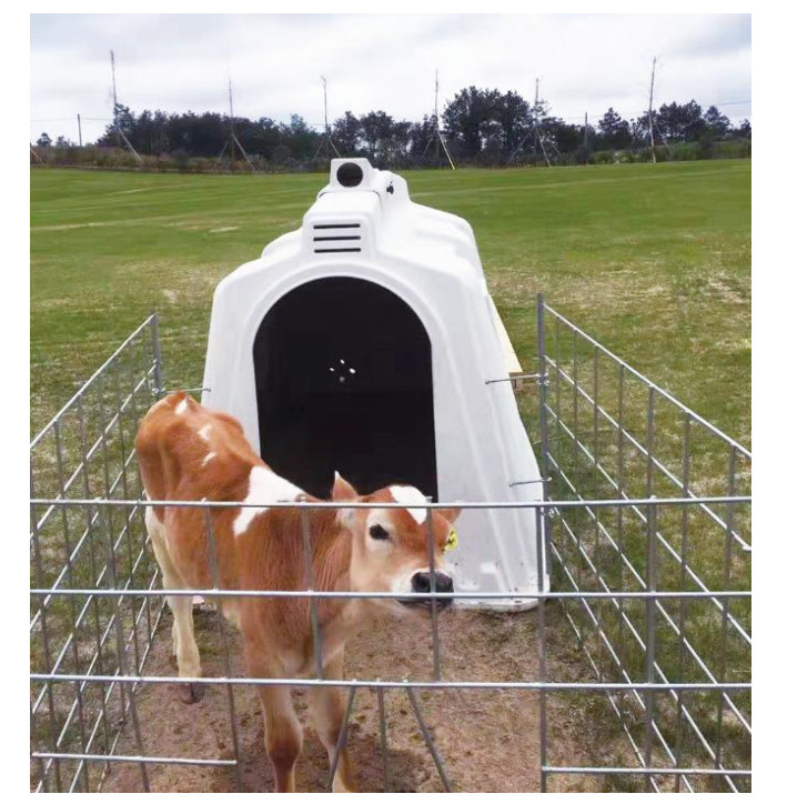 Food Grade L220cm Polyethylene Dairy Calf Hutches