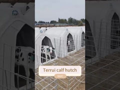 Adjustable Ventilation Calf Hutches Easy To Clean Design for All Weather Conditions