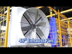 Improve Air Circulation With 121139m3/h Poultry Fan And PMSM Motor