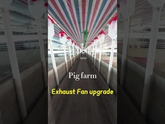 Volume Industrial Exhaust Fan 72 Inches Blade Diameter IP55 Protection Grade