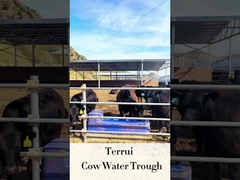 Livestock Auto Waterer