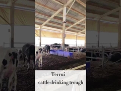 LLDPE Livestock Auto Waterer with 3 Sets Of 220V300W Heating Discs for Cattle