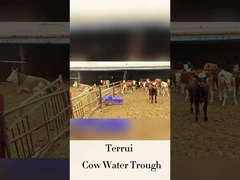 Livestock Automatic Waterer with 250mm Drinking Height LLDPE Flow Rate