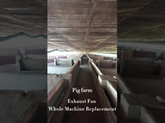 IP55 Industrial Fire Exhaust Fans for 60mm Pipe Installation