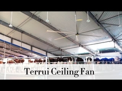 9.53m3/min Airflow Industrial Ceiling Fan 14300 m3/min Max Output