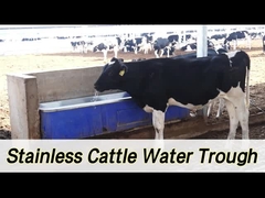 2 Sets 1800W Adjustable Heating Livestock Auto Waterer with Flow Rate of 100-120L/min