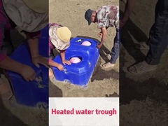 50L/min Flow Rate Livestock Automatic Waterer