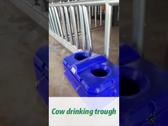 High Flow Rate Cow Waterer for Easy Watering at 450mm Drinking Height