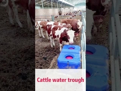 LLDPE Blue Cow Waterer The Perfect Solution for Livestock Management