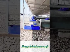 60L Capacity Cow Drinking Trough 170*48*46cm Ideal for Large Herds