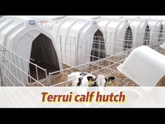 Ventilated Calf House For Calves